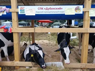 Агропромышленная выставка «День поля»